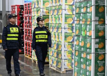 Politika zero-tarifore e Kinës krijon mundësi të reja për eksportet dhe investimet afrikane