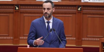 Ngjarja e Maliqit, Lamallari përgjigjet në Kuvend: Hetim i plotë për vrasjen e efektivit Mekolli