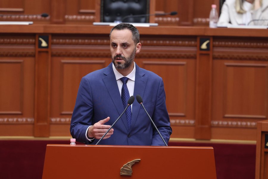Ngjarja e Maliqit  Lamallari përgjigjet në Kuvend  Hetim i plotë për vrasjen e efektivit Mekolli