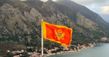Njehsim falas i diplomave  Mali i Zi heq tarifën 3500 euro për konvertimin e diplomave të studimit në Shqipëri
