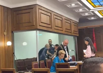 “Ka rënë euro. Çfarë bëni ju si opozitë?”, Meta pyet Blushin në gjyq, ndërhyn Kryemadhi: Po Dumani çfarë bën me…