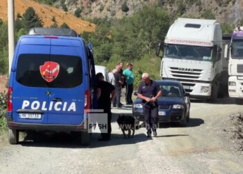 DETAJE / 45-vjeçari u qëllua me breshëri plumbash në Reps teksa shkonte në punë