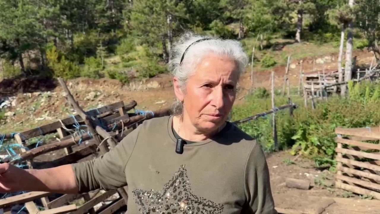  Edhe djali im të kishte vdekur    flet për herë të parë nëna e autorit të vrasjes së efektivit Enea Mekolli  Ja si ndodhi ngjarja