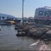 Dëmtohet nga helika e skafit një person në Vlorë, dyshohet se ka pësuar prerje në këmbë