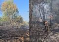Një vatër zjarri shpërthen në Mallakastër, flakët favorizohen nga era, zjarrfikësit në terren