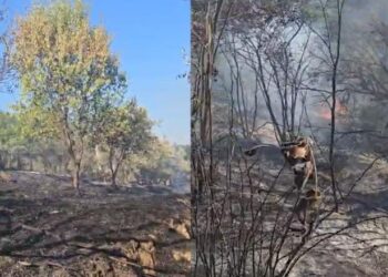 Një vatër zjarri shpërthen në Mallakastër, flakët favorizohen nga era, zjarrfikësit në terren