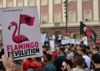 Protesta, hija e vetvetes?