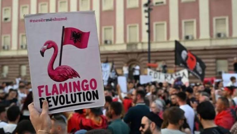 protesta-hija-e-vetvetes