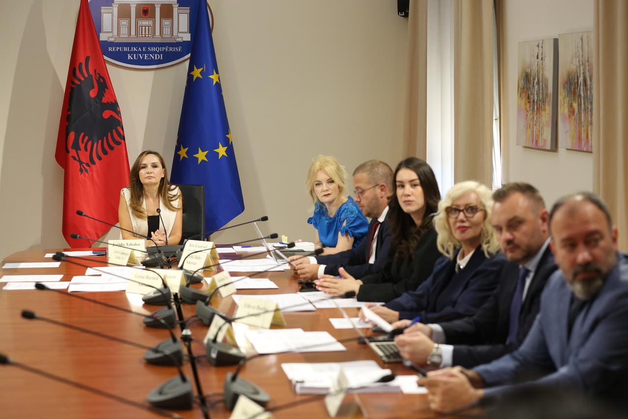 Komisioni parlamentar miraton ndryshimet për të drejtat e autorit dhe Agjencinë e Shoqërisë Civile