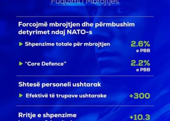 SHBA njeh kontributin shqiptar në NATO, ambasadori amerikan: Po na japin bazat dhe aksesin që na nevojitet