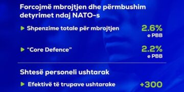 SHBA njeh kontributin shqiptar në NATO, ambasadori amerikan: Po na japin bazat dhe aksesin që na nevojitet