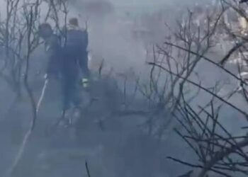 Zjarr i madh në kodrën me ullinj në Dimal, dyshohet se flakët u vunë qëllimisht