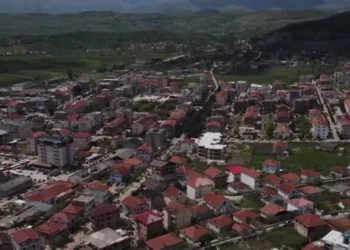 “65 mijë minoritarë në Shqipëri”/ PS kërkon që Dropulli, Finiqi dhe Pusteci të mos preken nga Reforma Territoriale