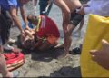 Vrojtuesi i plazhit i shpëton jetën 67-vjeçarit që po lahej në Velipojë, doli nga deti në gjendje kritike
