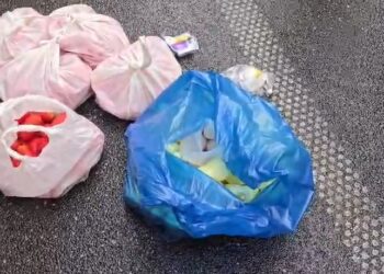 FOTOLAJM/ Nga vezët te domatet e specat, protestuesit mbërrijnë me “arsenal” të ri para Kuvendit