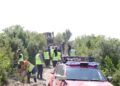 Parandalimi i zjarreve, APR nis ndërtimin e 100 kilometrave rrugë auto-pyjore në Tiranë