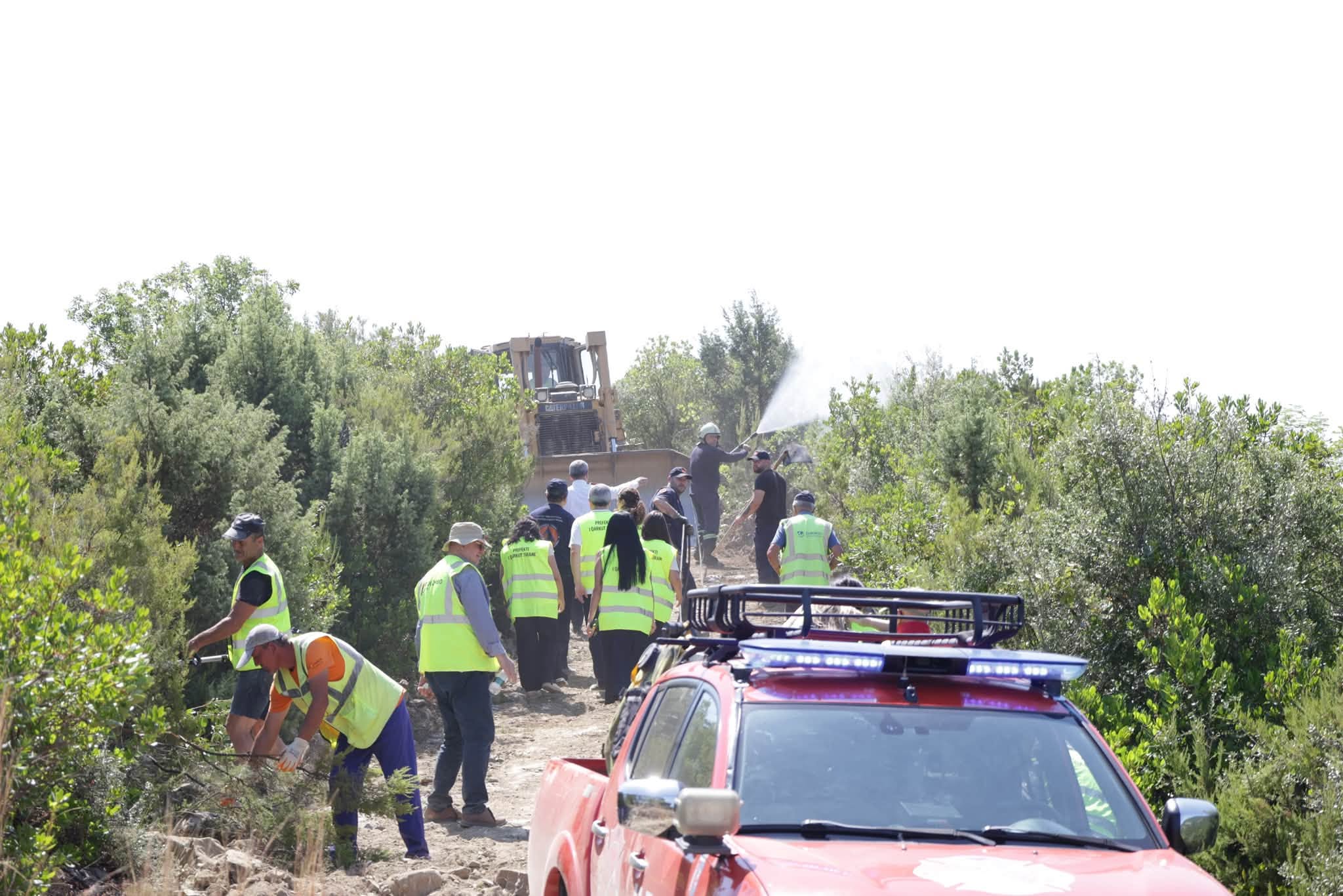 Parandalimi i zjarreve  APR nis ndërtimin e 100 kilometrave rrugë auto pyjore në Tiranë