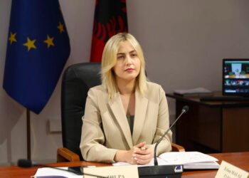 Reforma territoriale, Zhupa: PD kundër çdo plani për të shkrirë bashkitë e Delvinës dhe Konispolit