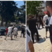 Revolucioni: nga pelikanët tek vezët mbi makina?