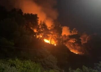 Zjarr në Shëngjin, flakët i afrohen zonës së banuar (VIDEO)