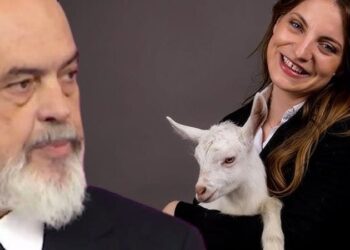 “Në botën e çudirave…”, këshilltari socialist sulmon Koçekun: Patronazhistët të çuan në Kuvend, mos i përbuz!