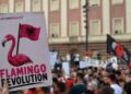 Protesta, pelikanët e harruar, vezët mbi deputetë dhe një arkivol