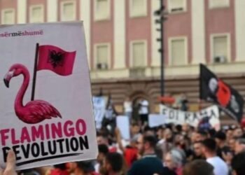 Protesta, pelikanët e harruar, vezët mbi deputetë dhe një arkivol
