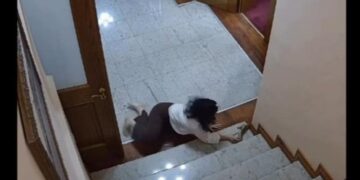 Shënim/ Heshtja cinike e grave të opozitës për aktin e rëndë të Agron Shehajt ndaj një gruaje