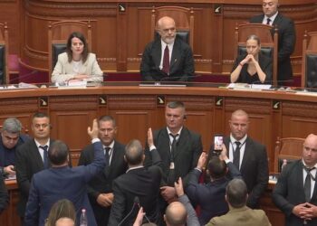 Opozitë budallaqe
