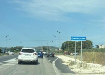 Përplasje e fortë në Peqin–Rrogozhinë/ Automjeti bëhet copë, një person përfundon në spital