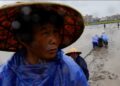 Afrohet tajfuni Bavi, Kina evakuon mbi një milion banorë