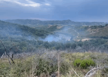 Peshtan/ Zjarri përfshin zonën me bimësi, zjarrfikësit shuajnë vatrën