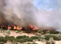 Zjarret në Greqi, evakuime masive dhe dëme të mëdha në qytetin Rethymno dhe rajonin Beoti