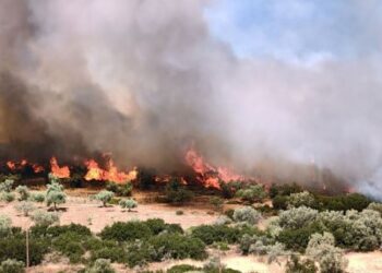 Zjarret në Greqi, evakuime masive dhe dëme të mëdha në qytetin Rethymno dhe rajonin Beoti