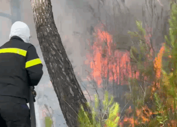 Vlorë/ Zjarri masiv në Pyllin e Sodës vihet nën kontroll, digjen mbi 5 hektarë me pisha