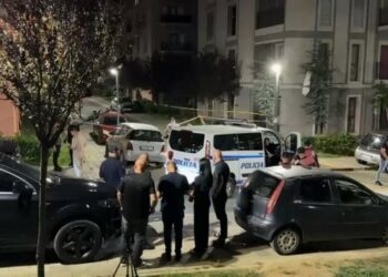 Vrasja e Ilir Likës në Laç, gjenden dy armët e krimit dhe provat kyçe të ngjarjes