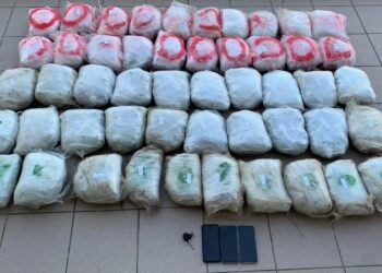 Kapen mbi 55 kg marijuanë në kufirin greko-shqiptar, një i arrestuar