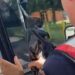 “Xhamat e errësuar pa leje do të hiqen”, Lamallari: Nuk ju bëjnë të padukshëm, rregullat njësoj për të gjithë