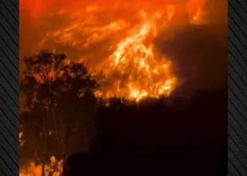 Zjarrfikësit në betejë me flakët në Siçili, mbi 1000 vatra zjarri nga temperaturat ekstreme
