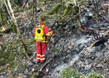 Zjarri në Parkun Kombëtar të Llogarasë ende aktiv, 20 efektivë të FA-së në terren për shuarjen e flakëve