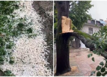 Stuhi e fortë në Korçë,  Stuhi e fortë në Korçë, era rrëzon pemët në bulevard! Breshëri dëmton të mbjellat në Devoll