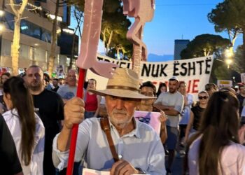 Flamingot-pjesa e dytë: Si po konturohet partia e revolucionit