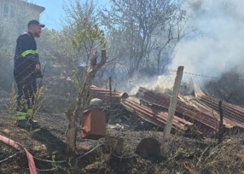 Flakët u afrohen shtëpive në Mallakastër, zjarrfikësit neutralizojnë vatrën e zjarrit