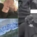 Vrau me thikë 14-vjeçarin Martin Cani, Apeli lë në fuqi dënimin me 16 vite burg për Mario Perlleshajn