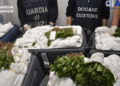 Kapen 216 kilogramë khat në aeroport, droga ishte fshehur në shtatë valixhe të një pasagjeri izraelit
