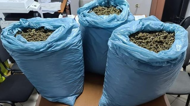 Zbulohet një bazë për tharjen e kanabisit në Divjakë  sekuestrohen 44 kg drogë dhe 1 426 bimë narkotike