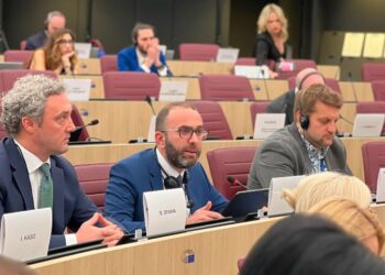 “Është zhveshur nga funksioni i tij”, Bardhi kritikon Kuvendin e Shqipërisë nga Parlamenti Europian