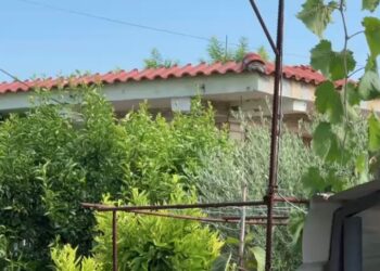 Vrasja në Roskovec, flet vëllai i viktimës: Policia erdhi pas një ore. Autori ka hyrë e ka dalë tre herë nga burgu