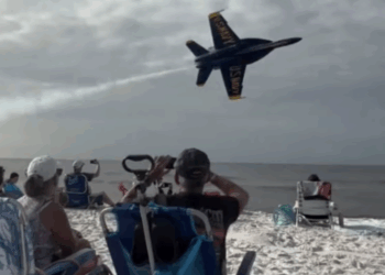 Avioni luftarak fluturon mbi kokat e pushuesve në bregdetin e Florida-s, marina amerikane nis hetim
