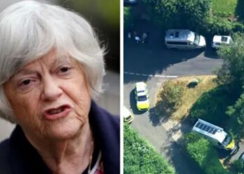 Vrasja e ish-ministres britanike Ann Widdecombe, arrestohet një 26-vjeçar